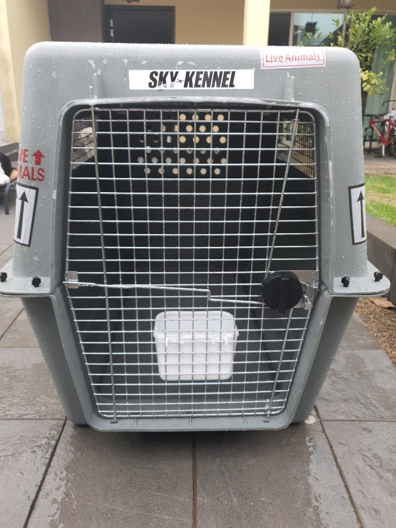 Petmate sky kennel airline crate 48