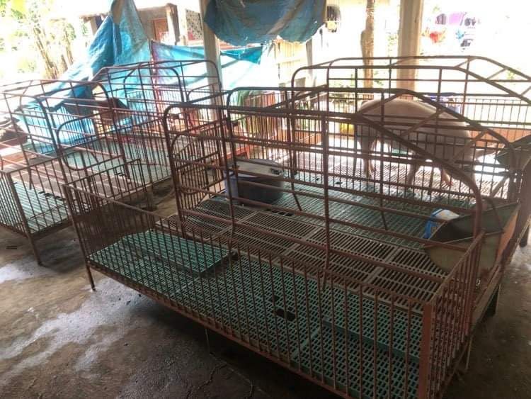 Piggery Farm/Poultry Farm for Sale with Duplex House on Carousell