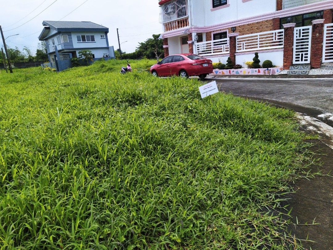 San Fransisco Village 2 Pacol Lot Naga City, Property, For Sale, Lot on