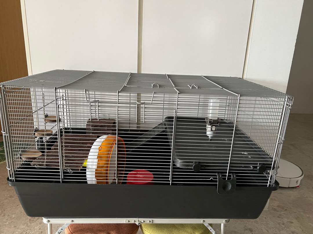 Syrian hamster cage setup online