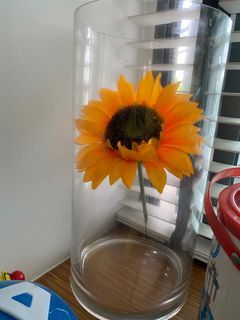 Talk Glass Vase