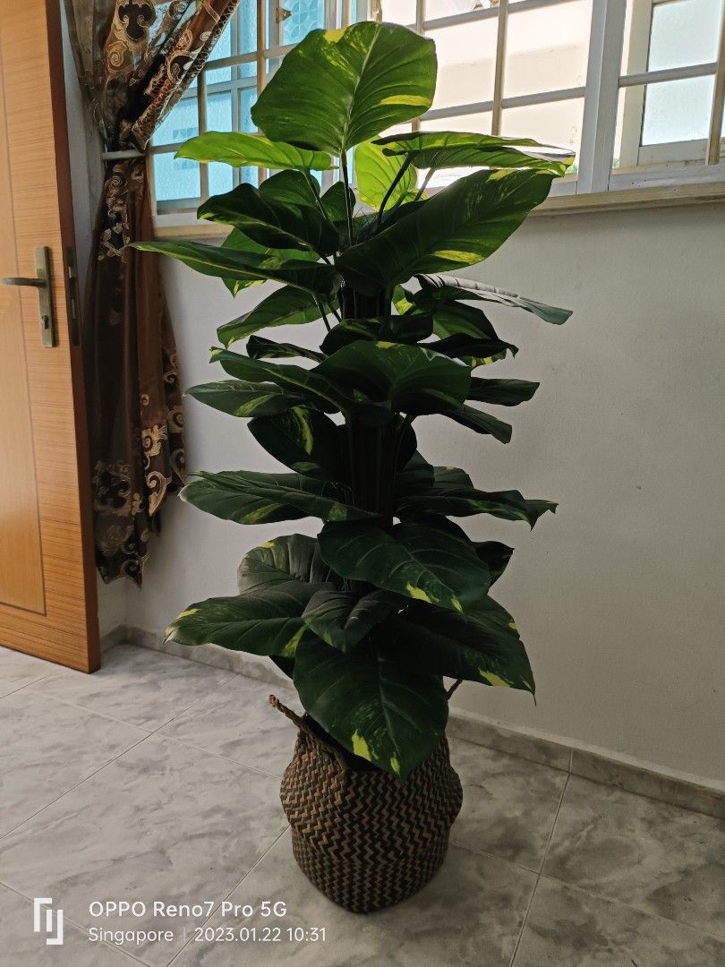 Tall artificial plant with basket, Furniture & Home Living, Home Decor