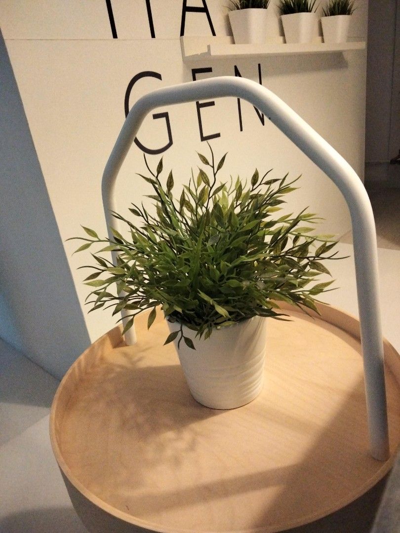 Various ikea fake plants trees, Furniture & Home Living, Home Decor