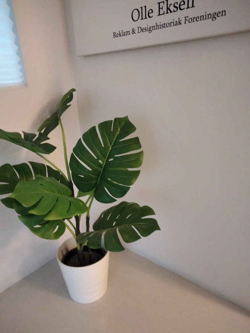Various ikea fake plants trees, Furniture & Home Living, Home Decor
