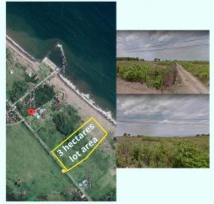 30 Hectare Lot Talisay, Dolo San Jose Camarines Sur for Sale, Property