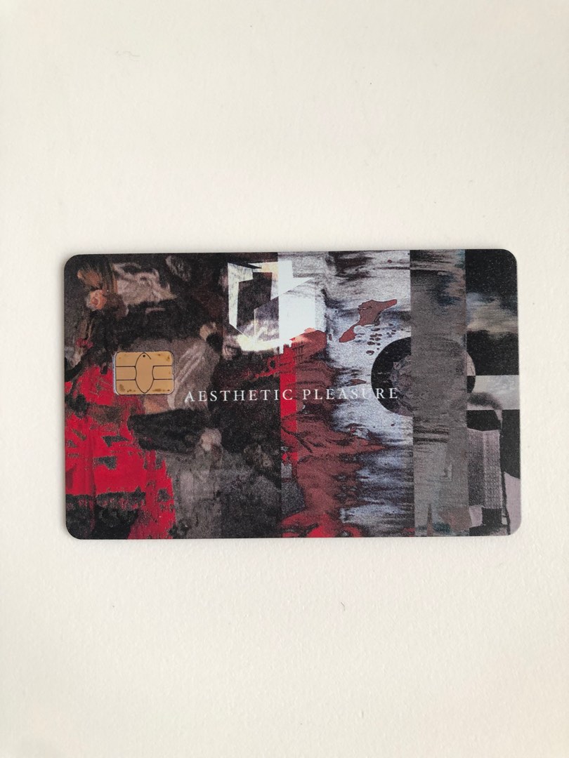 AESTHETIC PLEASURE FLAZZ CARD / NEW, Luxury, Accessories on Carousell