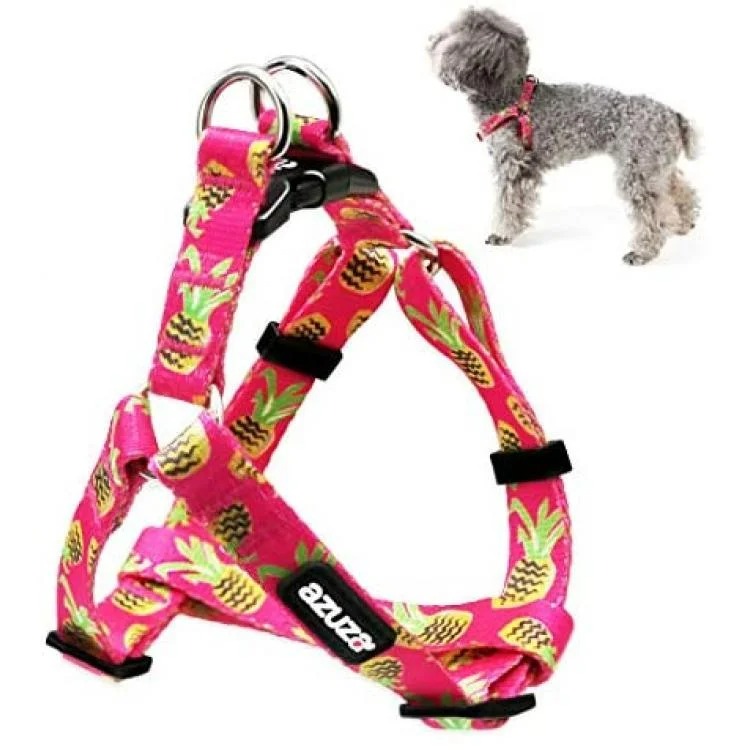 Azuza dog shop toy