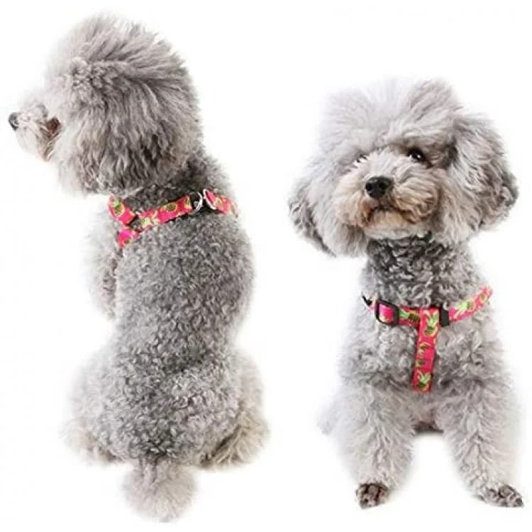 Azuza No Pull Dog Harness Pet Supplies Homes Other Pet