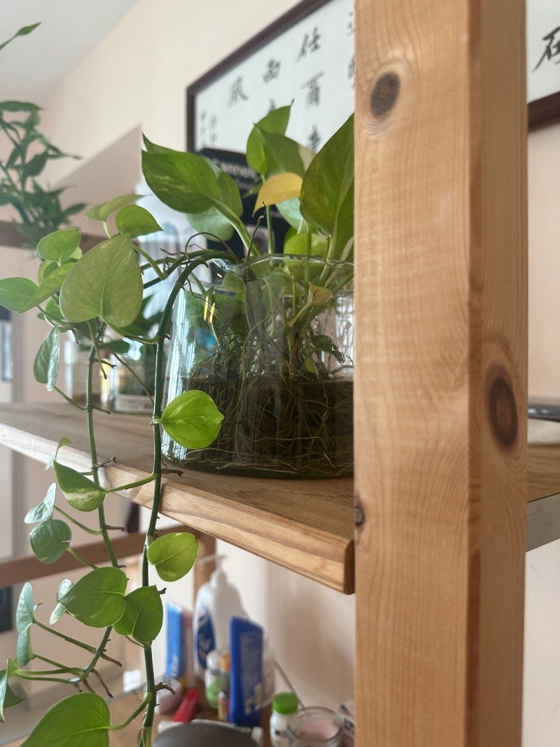 Beautiful wooden 3-storeys rack, Furniture & Home Living, Furniture ...