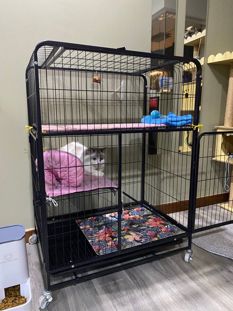 Cat Cage