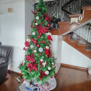 Christmas Tree - Sugar Pine Tree 8ft