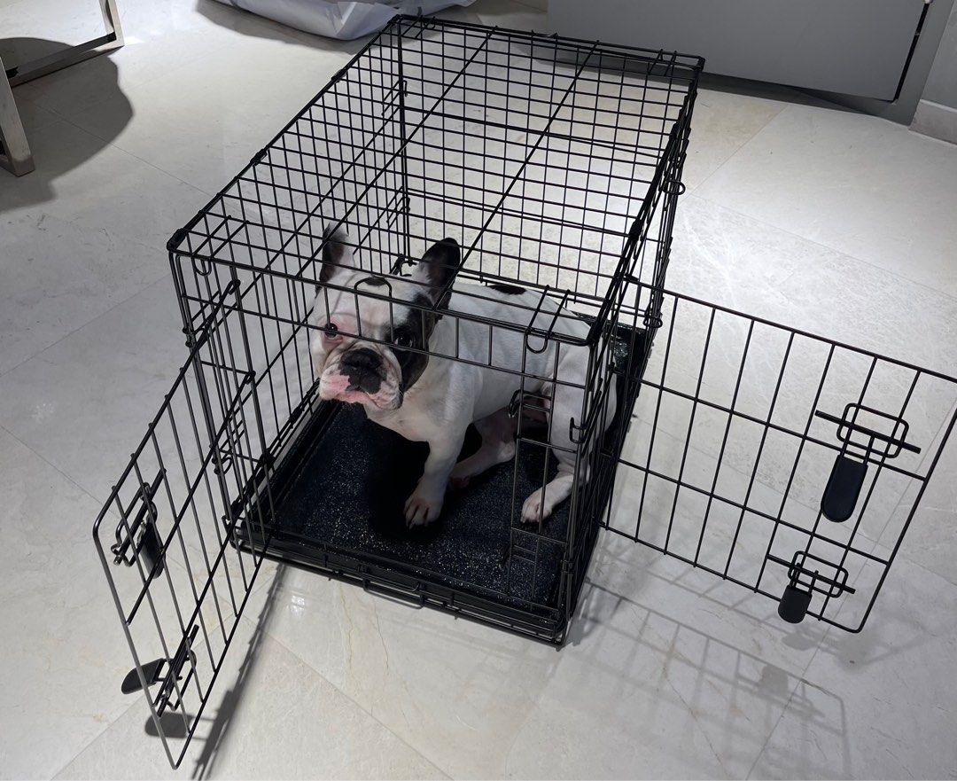 Dog crate, Pet Supplies, Homes & Other Pet Accessories on Carousell