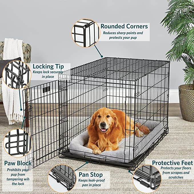 Life stages store crate divider