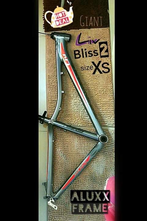 Liv bliss 2025 2