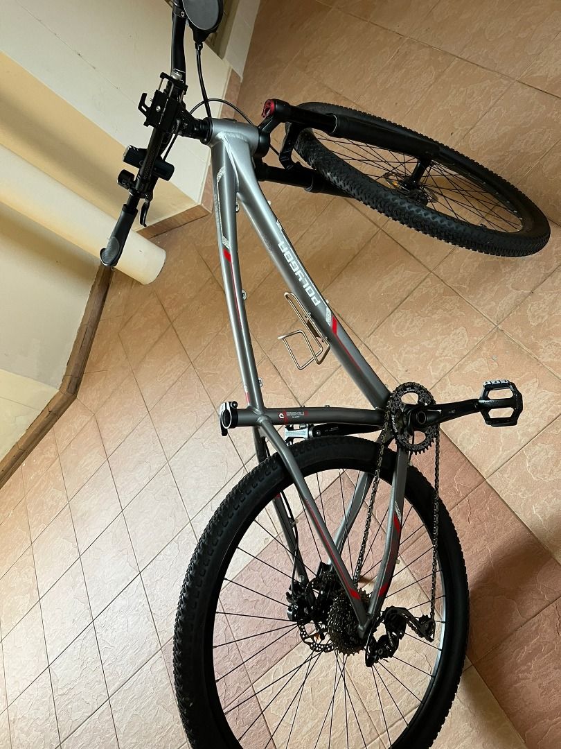 polygon siskiu hardtail