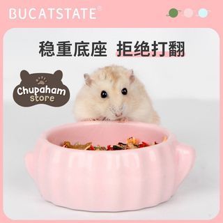 Preloved barang hamster