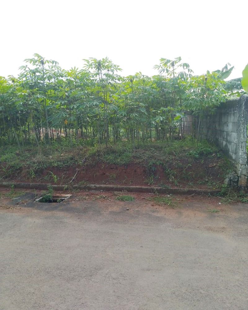 tanah_dijual_di_setu_tangerang_1672719750_3894d210_progressive