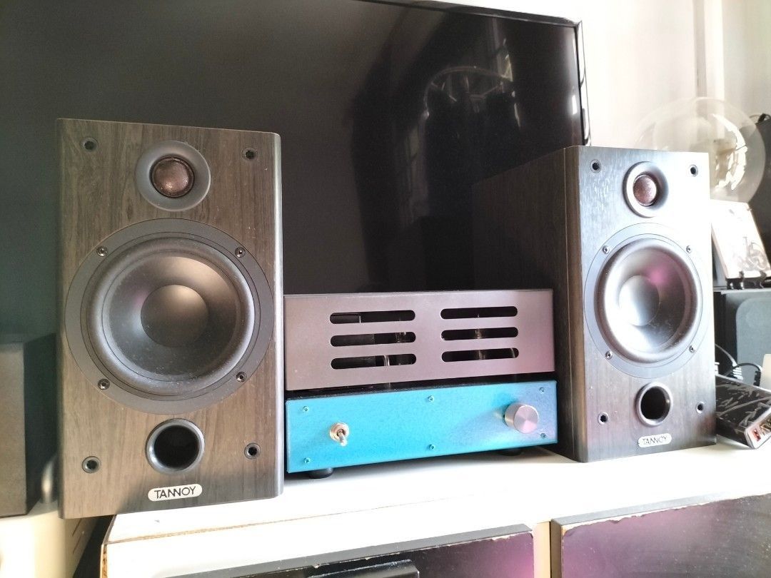 Tube amp and speaker set, Audio, Soundbars, Speakers & Amplifiers on