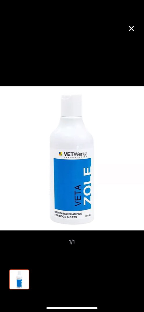 Vetwerkz medicated shampoo for cats and dogs Pet Supplies Health