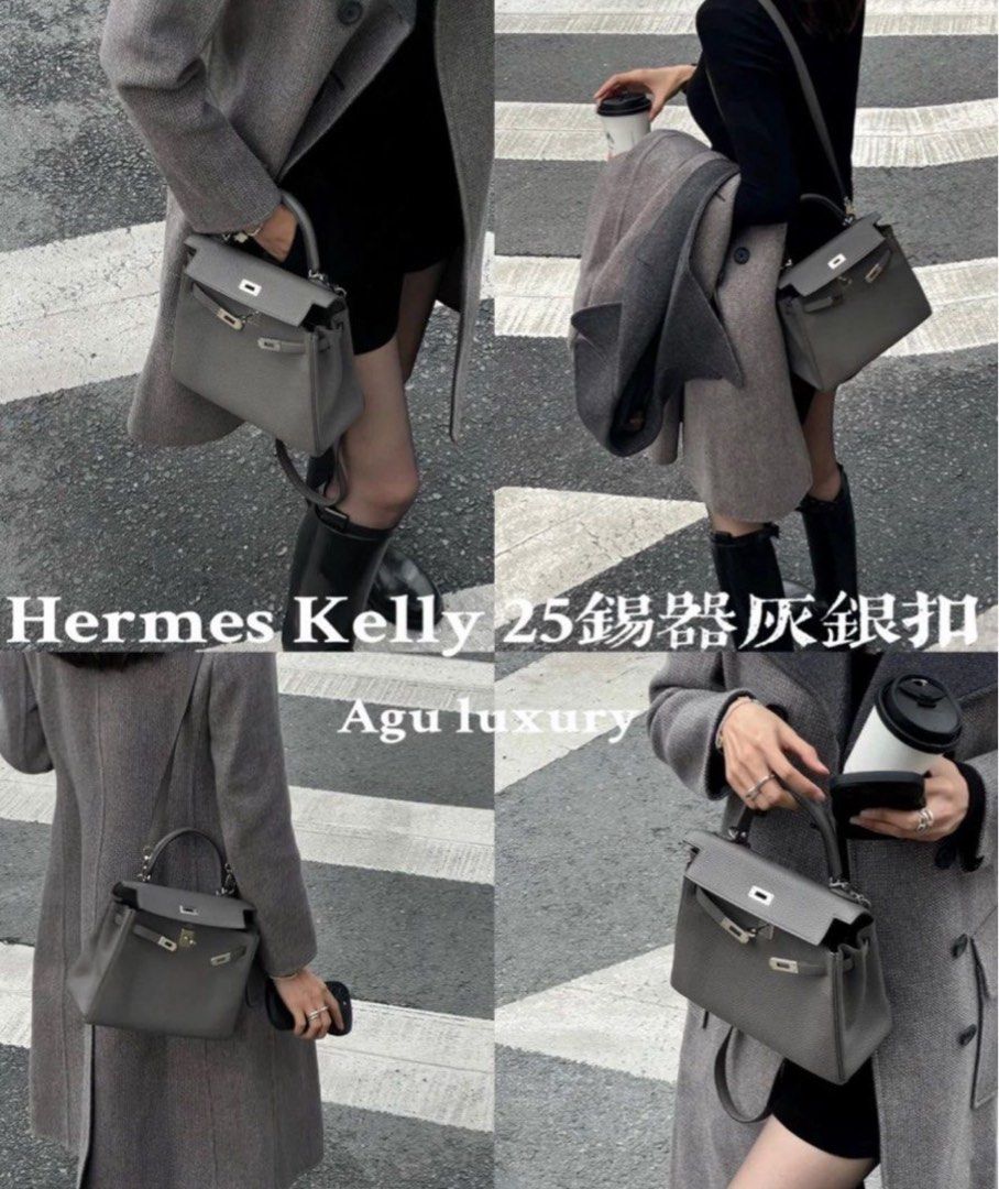 Hermes Birkin 25 Etain Togo Palladium Hardware #D - Vendome Monte Carlo