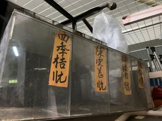 （分類：）位於 。 由 cwchow 提交（商品編號 1212390596，圖片 1）。簡介： 。