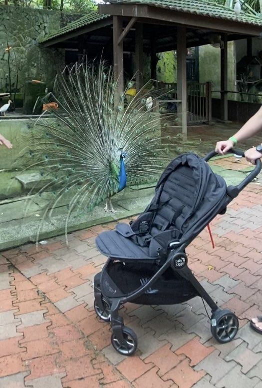 Baby Jogger City Tour Lux Reversible Stroller