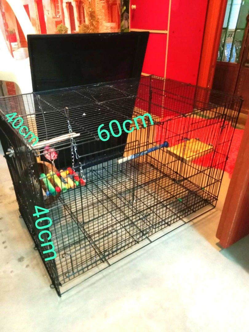 Bird cage, Pet Supplies, Homes & Other Pet Accessories on Carousell