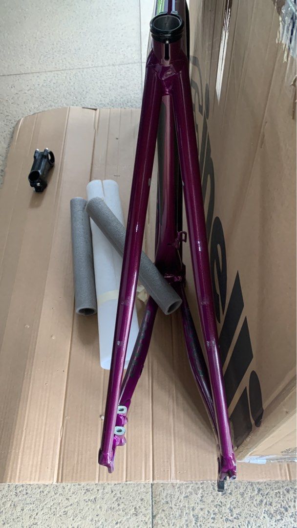 caad12 frameset disc