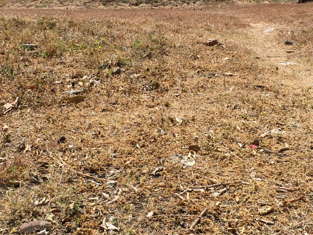 Corner Lot for Sale in Tierra Nueva Village, Muntinlupa City, Property