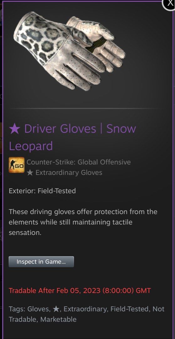 CSGO Driver Gloves Snow Leopard FT, Video Gaming, Gaming Accessories, InGame Products on