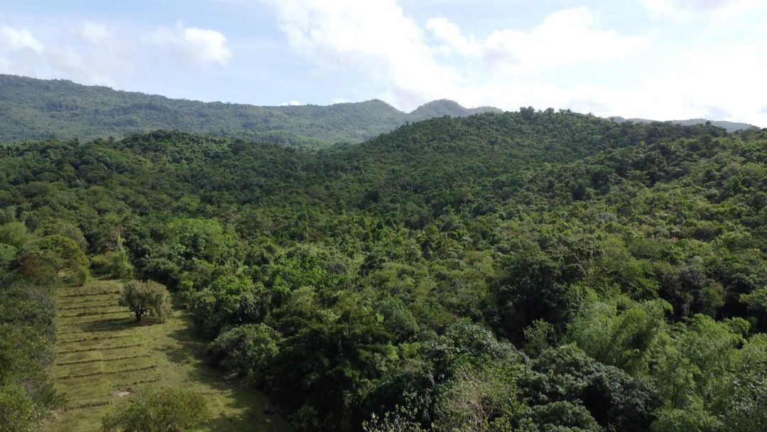 Farm Lot For Sale in Tanay Rizal, Property, For Sale, Lot on Carousell