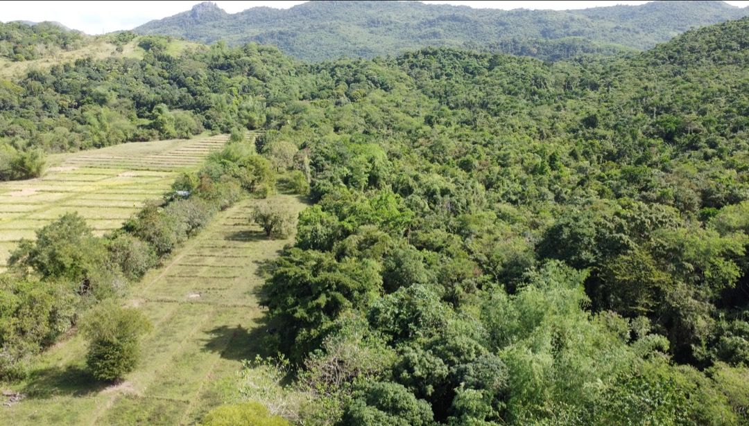 Farm Lot For Sale in Tanay Rizal, Property, For Sale, Lot on Carousell
