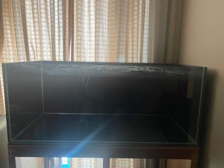 (Category: ) located in . Submitted by chinsaw (Listing ID 1212262272, Image 1). Description: .
