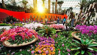 FLOWER DOME + SUPERTREE OBSERVATORY
