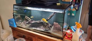 (Category: ) located in . Submitted by 777always (Listing ID 1212274466, Image 1). Description: .