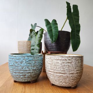 Glazed bowl pot