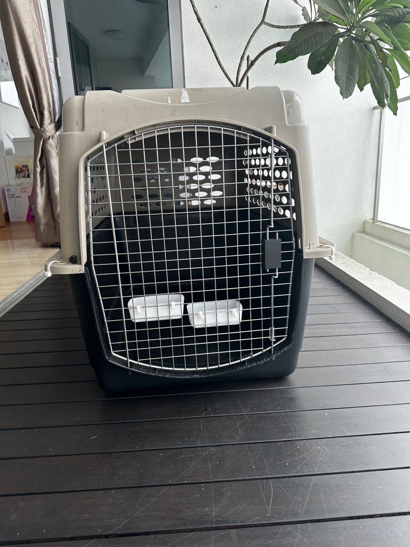 IATA extra large dog crate, Pet Supplies, Homes & Other Pet Accessories