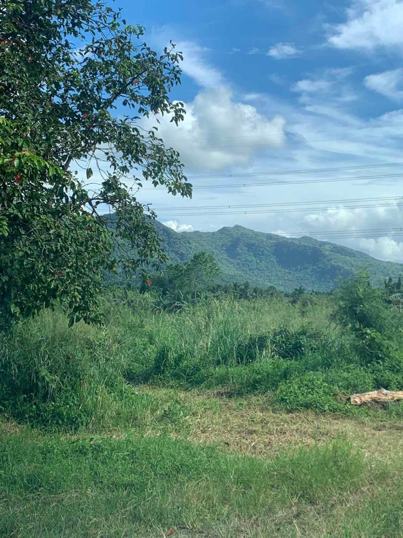 Lot For Sale in Lipa Batangas Ayala Land Alveo SouthPalm Grove