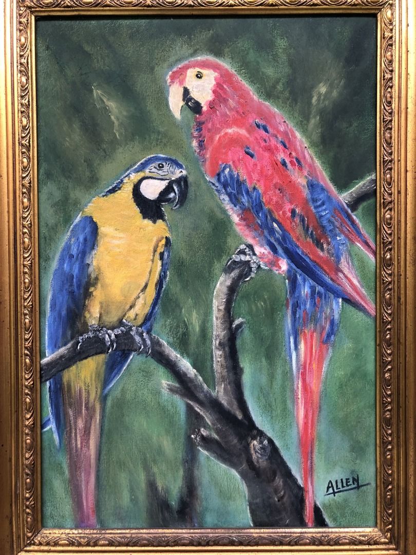 Lukisan Allen Binatang Burung Kakatua Beserta Frame, Design & Craft