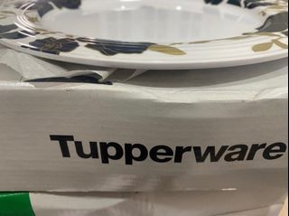 Original Tupperware melamine plate