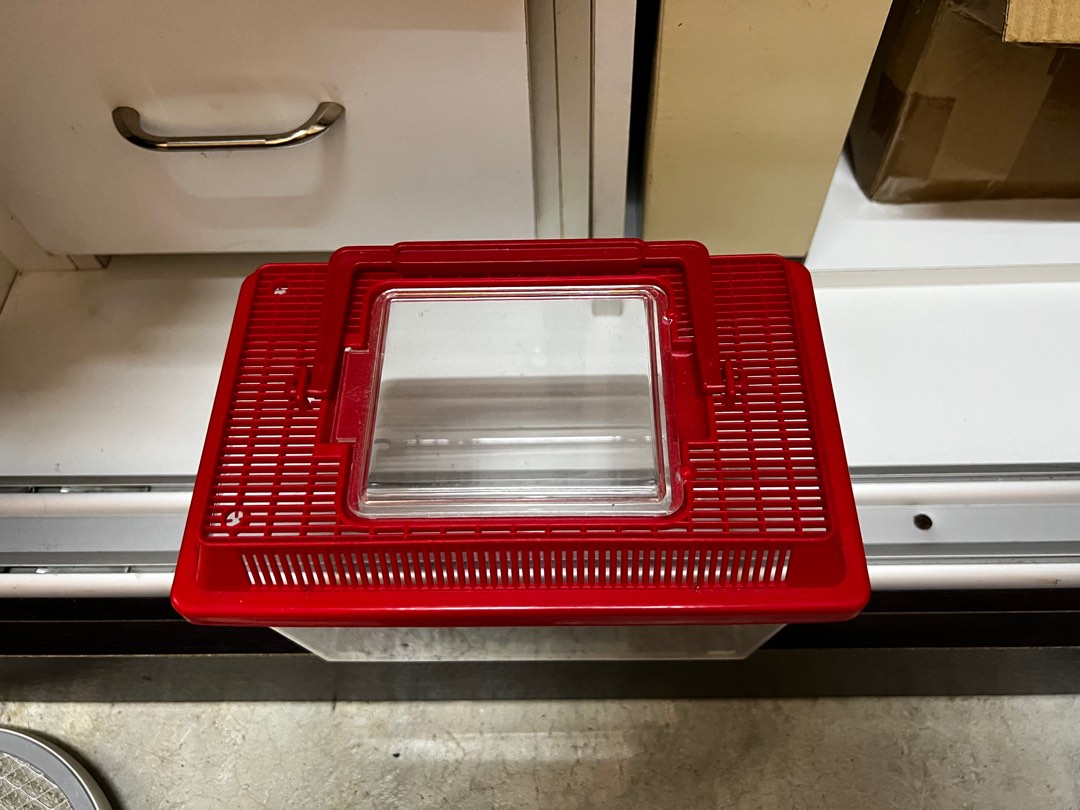 Plastic fish tank, Sports Equipment, Fishing on Carousell