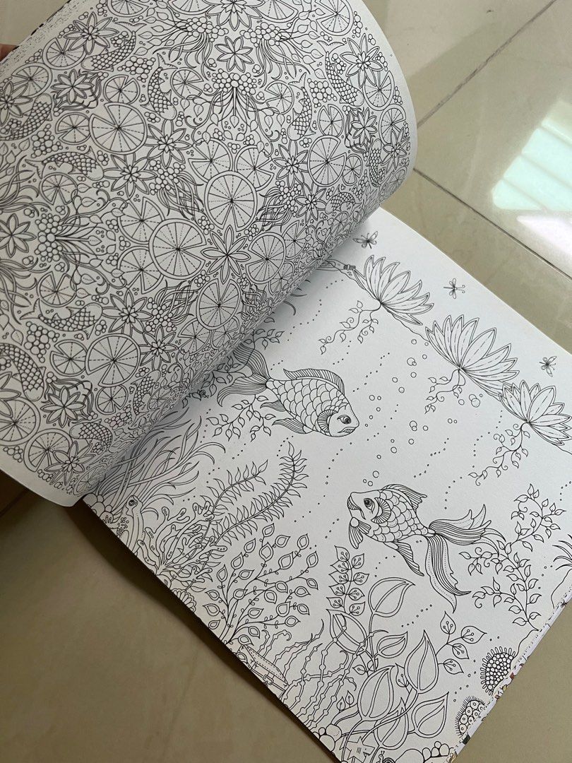 Secret Garden: An Inky Treasure Hunt and Coloring Book: An Inky