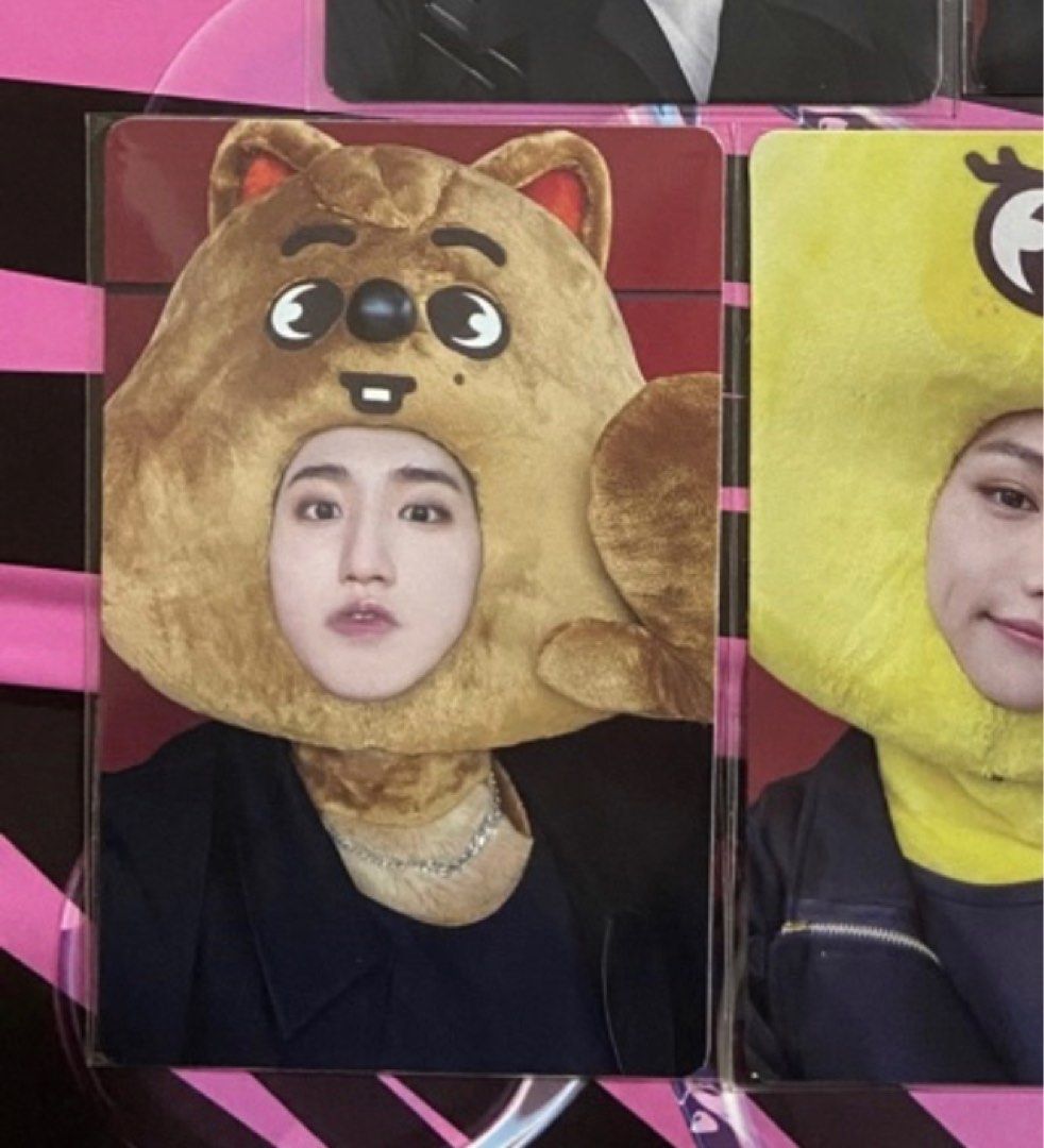 straykids アイエン maxident JYP特典 SKZOOトレカ