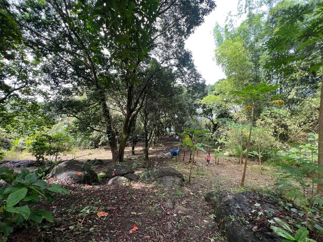 2.5 hectares farmland San Jose Del Monte Bulacan, Property, For Sale