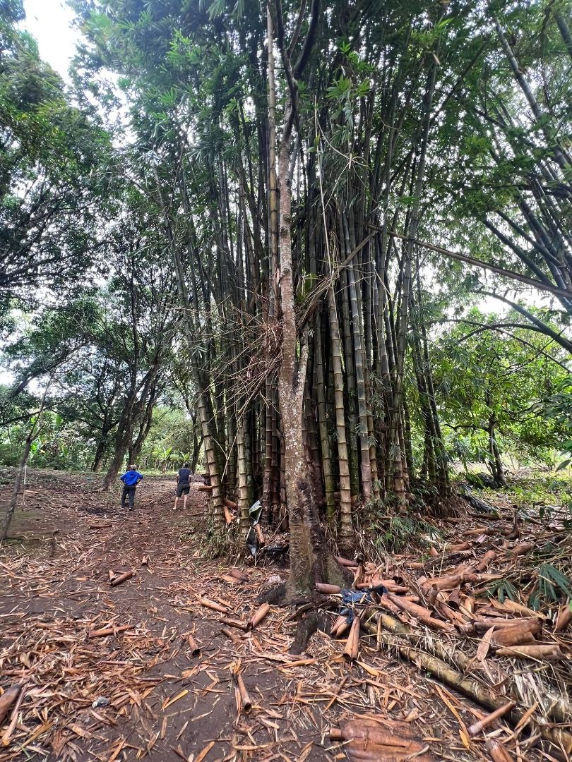 2.5 hectares farmland San Jose Del Monte Bulacan, Property, For Sale