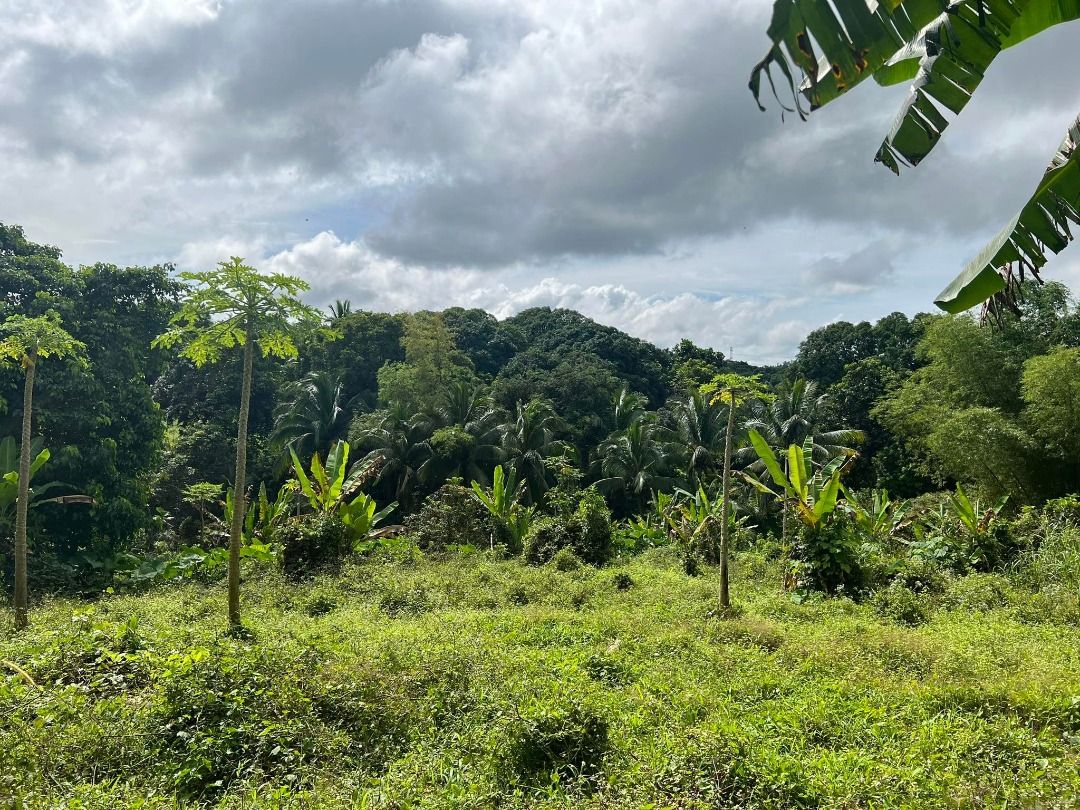 2.5 hectares farmland San Jose Del Monte Bulacan, Property, For Sale