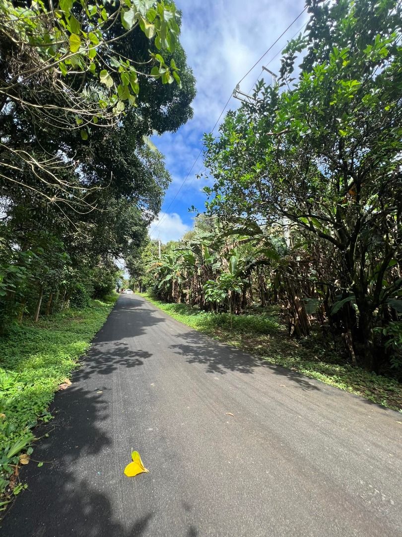 2.5 hectares farmland San Jose Del Monte Bulacan, Property, For Sale