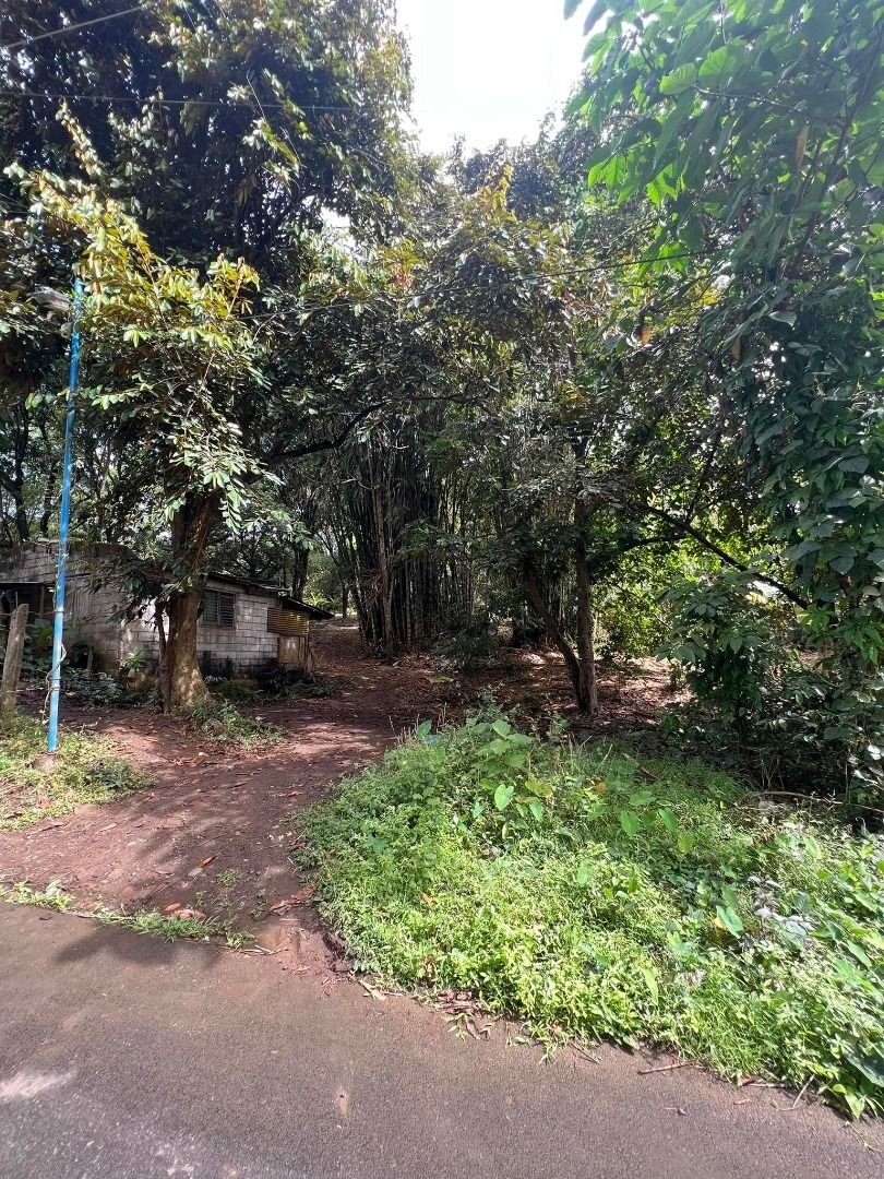 2.5 hectares farmland San Jose Del Monte Bulacan, Property, For Sale