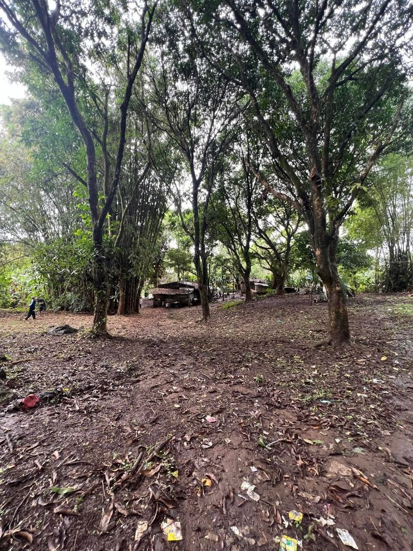 2.5 hectares farmland San Jose Del Monte Bulacan, Property, For Sale