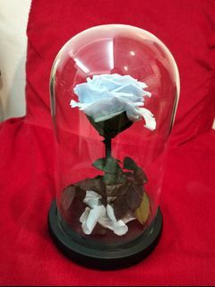 Beauty and the Beast Preserved blue rose glass flower Valentine gift